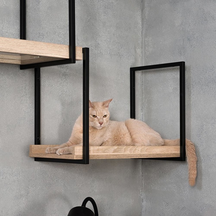 キャットウォークキャットステップ猫用品ペット用品猫家具猫ベッド壁掛け天井吊り下げ猫部屋ペット共生AVENUE長彩株式会社 