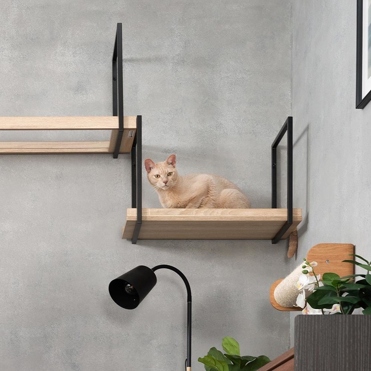 キャットウォークキャットステップ猫用品ペット用品猫家具猫ベッド壁掛け天井吊り下げ猫部屋ペット共生AVENUE長彩株式会社 