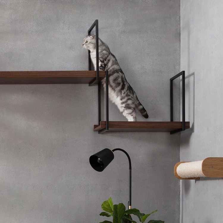 キャットウォークキャットステップ猫用品ペット用品猫家具猫ベッド壁掛け天井吊り下げ猫部屋ペット共生AVENUE長彩株式会社 