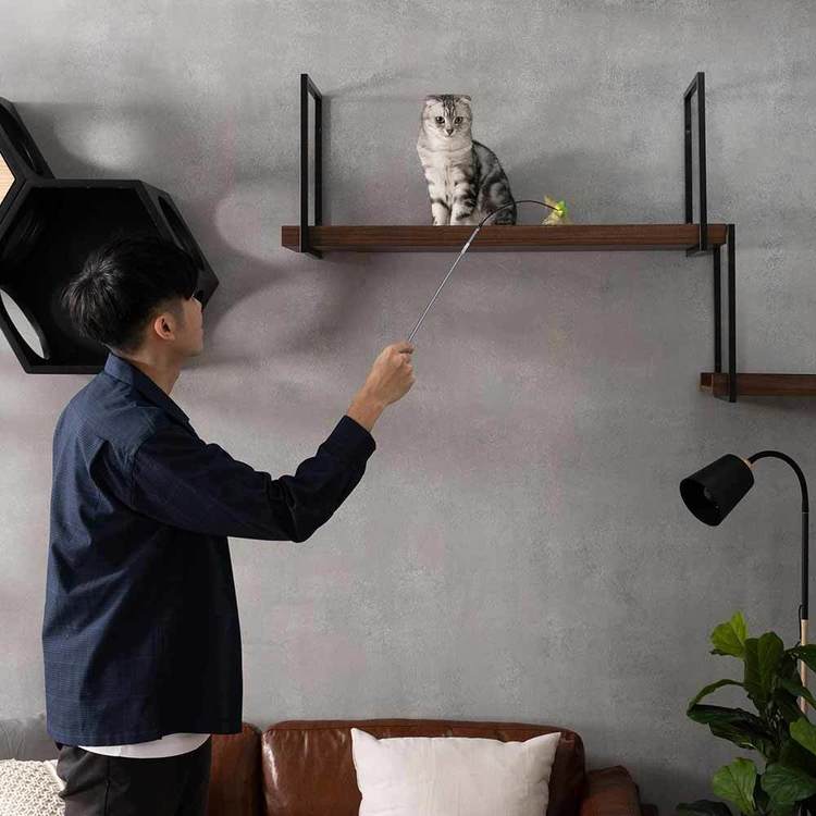 キャットウォークキャットステップ猫用品ペット用品猫家具猫ベッド壁掛け天井吊り下げ猫部屋ペット共生AVENUE/100cmウォールナット長彩株式会社 