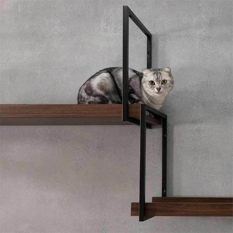キャットウォークキャットステップ猫用品ペット用品猫家具猫ベッド壁掛け天井吊り下げ猫部屋ペット共生AVENUE/100cmウォールナット長彩株式会社 