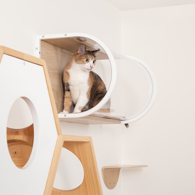キャットウォークキャットステップ猫用品ペット用品猫家具猫ベッド壁掛けペット共生トンネル賃貸おすすめTUNNEL長彩株式会社 