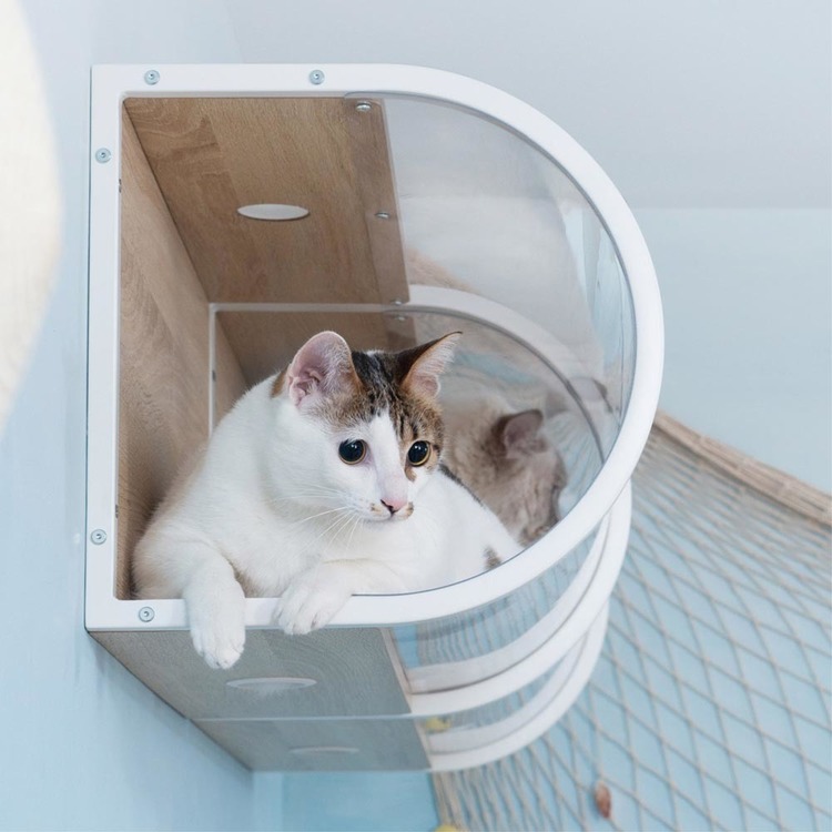 キャットウォークキャットステップ猫用品ペット用品猫家具猫ベッド壁掛けペット共生トンネル賃貸おすすめTUNNEL長彩株式会社 