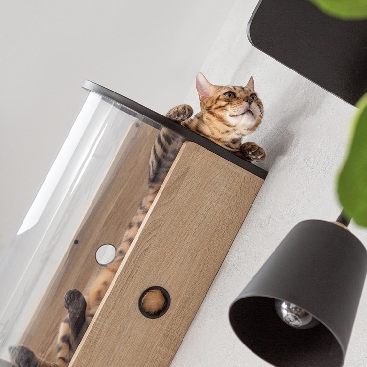 キャットウォークキャットステップ猫用品ペット用品猫家具猫ベッド壁掛けペット共生トンネル賃貸おすすめTUNNEL長彩株式会社 