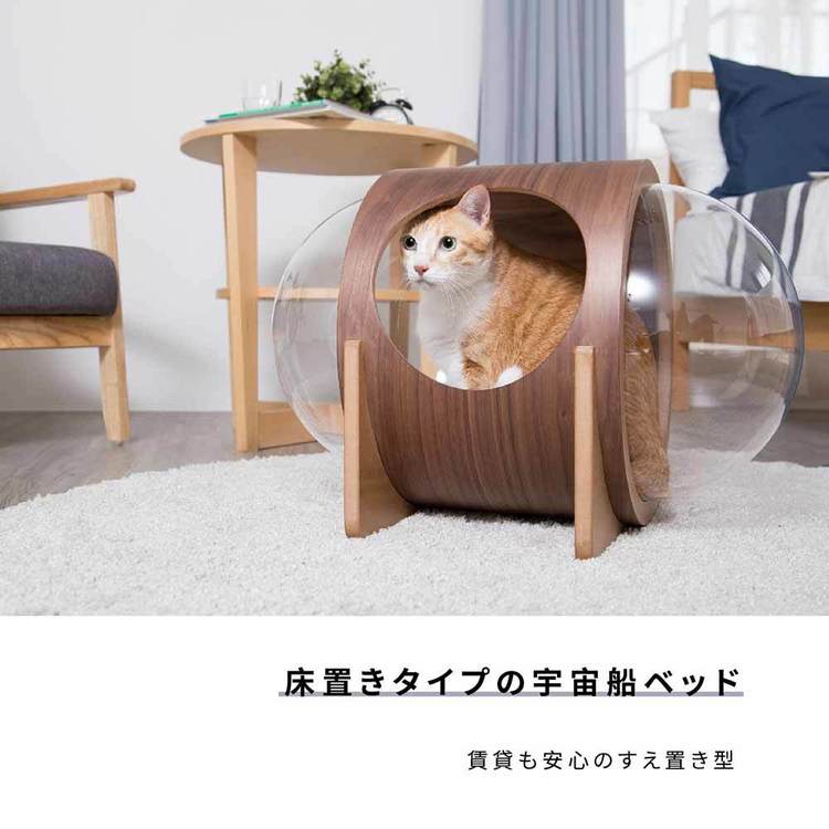 2WAY壁付け・床置き　キャットウォーク　キャットハウス　宇宙船 キャットハウス 猫 ベッド ハウス 猫用品 ペット用品 猫家具 猫ベッド