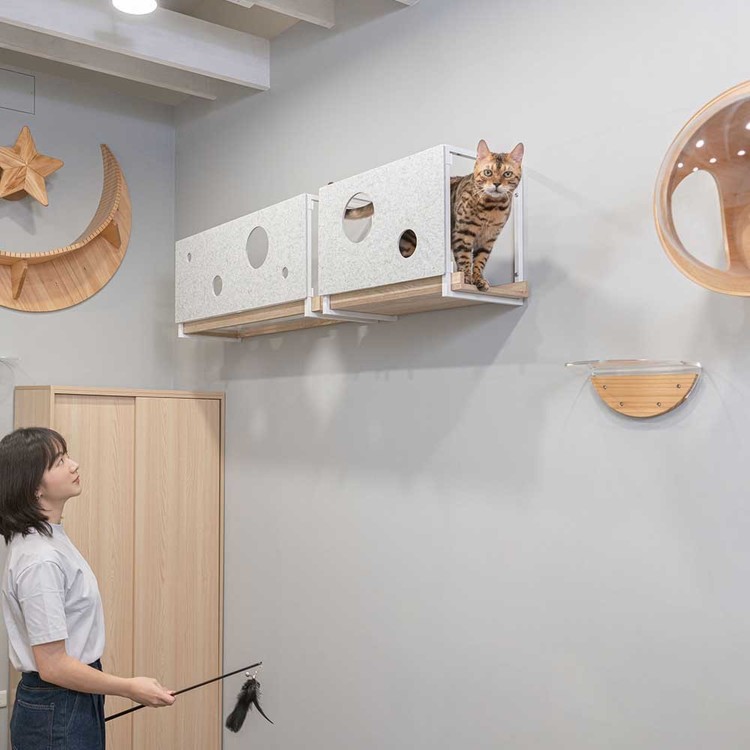 キャットウォークキャットステップ猫用品ペット用品猫家具猫ベッド壁掛けペット共生猫部屋賃貸おすすめAVENUECOVER/L長彩株式会社 