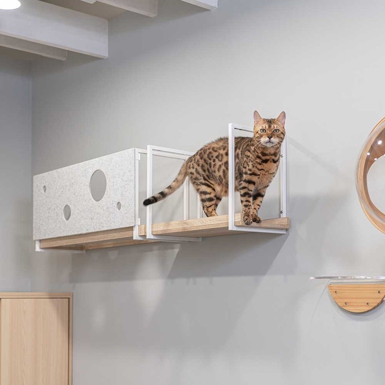 キャットウォークキャットステップ猫用品ペット用品猫家具猫ベッド壁掛けペット共生猫部屋賃貸おすすめAVENUECOVER/L長彩株式会社 