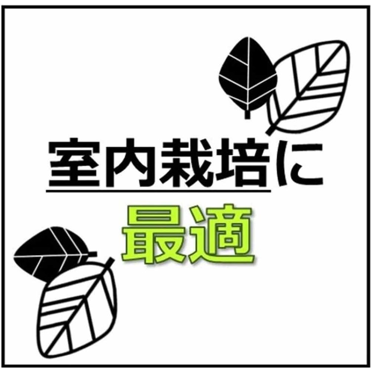 培養土用土室内観葉植物多肉植物虫がわかない肥料入り室内向け観葉・多肉の土１０号鉢8.4Lプロトリーフ 