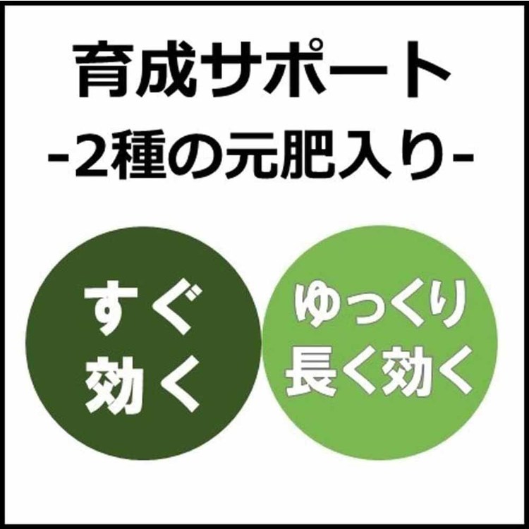 培養土用土室内観葉植物多肉植物虫がわかない肥料入り室内向け観葉・多肉の土１０号鉢8.4Lプロトリーフ 