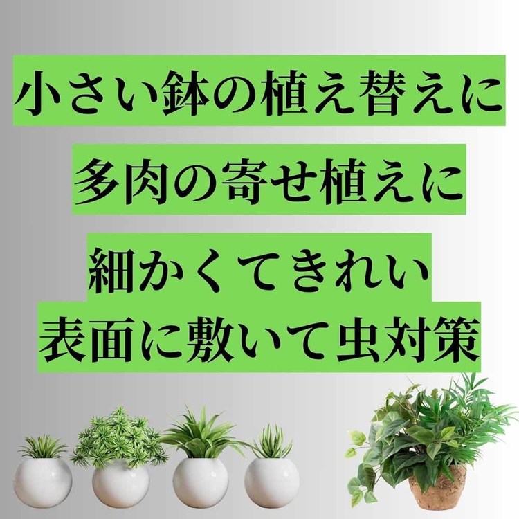 培養土用土室内観葉植物多肉植物虫がわかない細かい粒室内向け観葉・多肉の土　細粒　小鉢用0.6Lプロトリーフ 