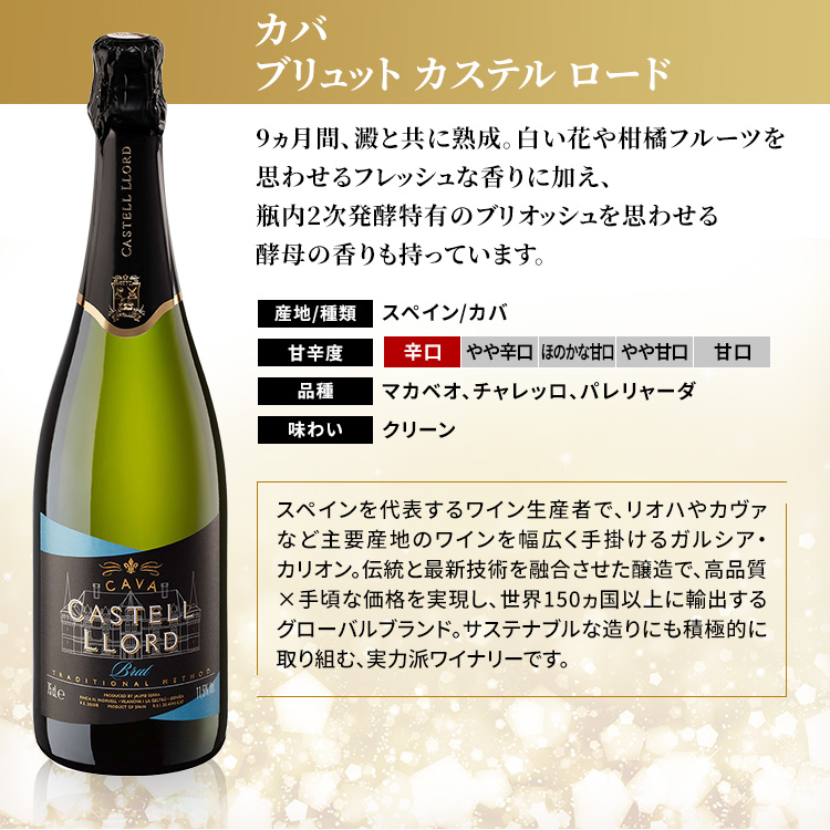 ワイン スパークリングワイン 6本セット ワインセット スパークリング