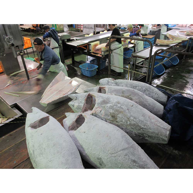 まぐろ目鉢鮪中トロ赤身たたき天然唐揚げひとくち神奈川県漁連三崎港まぐろ唐揚げ・ひとくちカツセット 