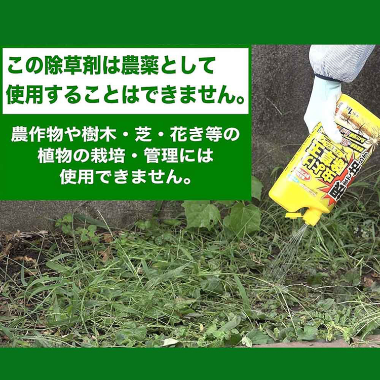 雑草除草害虫虫持続フマキラー根まで枯らす虫よけ除草王プレミアム4.8Lカダン 