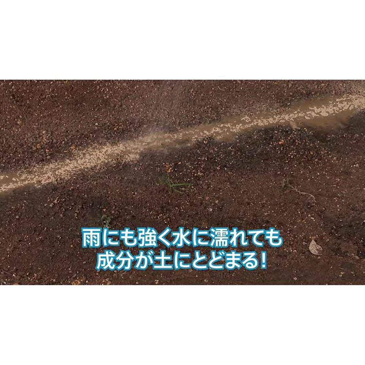 殺虫剤粉害虫不快害虫ダンゴムシワラジムシダニゲジクモアリ不快害虫粉剤EX1.2kg住友化学園芸 