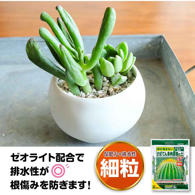 培養土用土厳選細粒ゼオライト根腐れ排水性サボテン用多肉植物用さぼてん多肉植物の土（細粒）5L花ごころ 