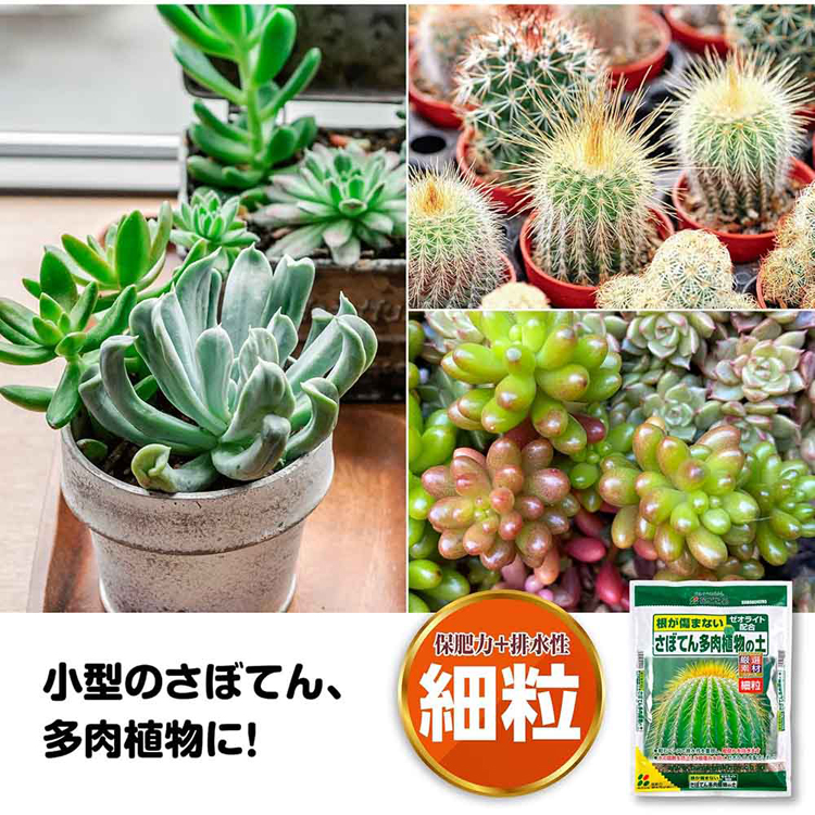 培養土用土厳選細粒ゼオライト根腐れ排水性サボテン用多肉植物用さぼてん多肉植物の土（細粒）5L花ごころ 