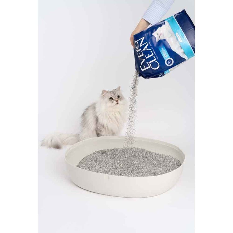 猫砂消臭ベントナイト固まる活性炭吸収力トイレ袋タイプ長期消臭芳香エクストラフレッシュ4.2kgエバークリーン 