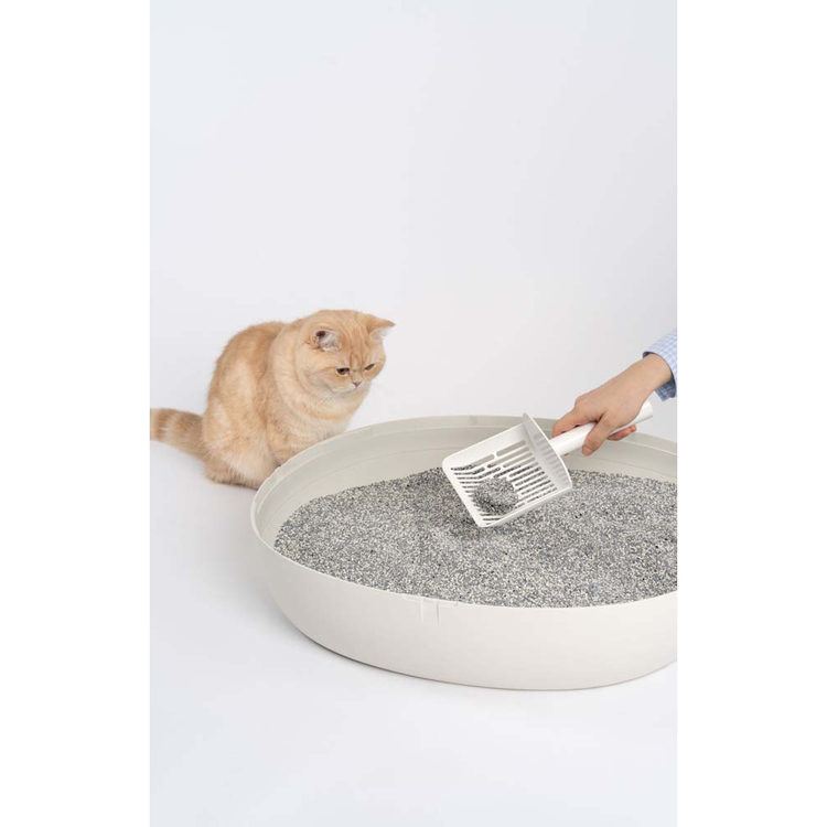 猫砂消臭ベントナイト固まる活性炭吸収力トイレ袋タイプ長期消臭芳香エクストラフレッシュ4.2kgエバークリーン 