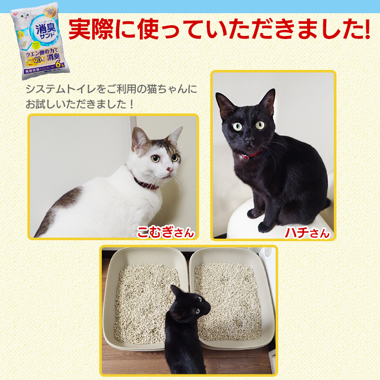 Amazon | 【Amazon.co.jp限定】動物撃退器 猫よけ 2024新改良
