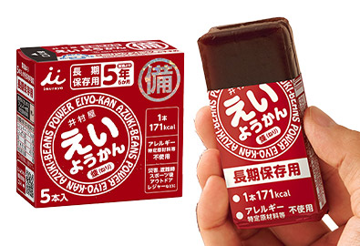 アイリスの保存水 500ml×24本