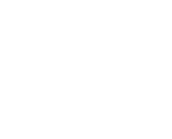 セット革命