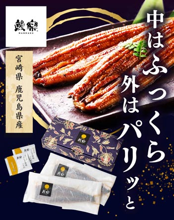 九州産うなぎ蒲焼【2尾セット】 商品画像