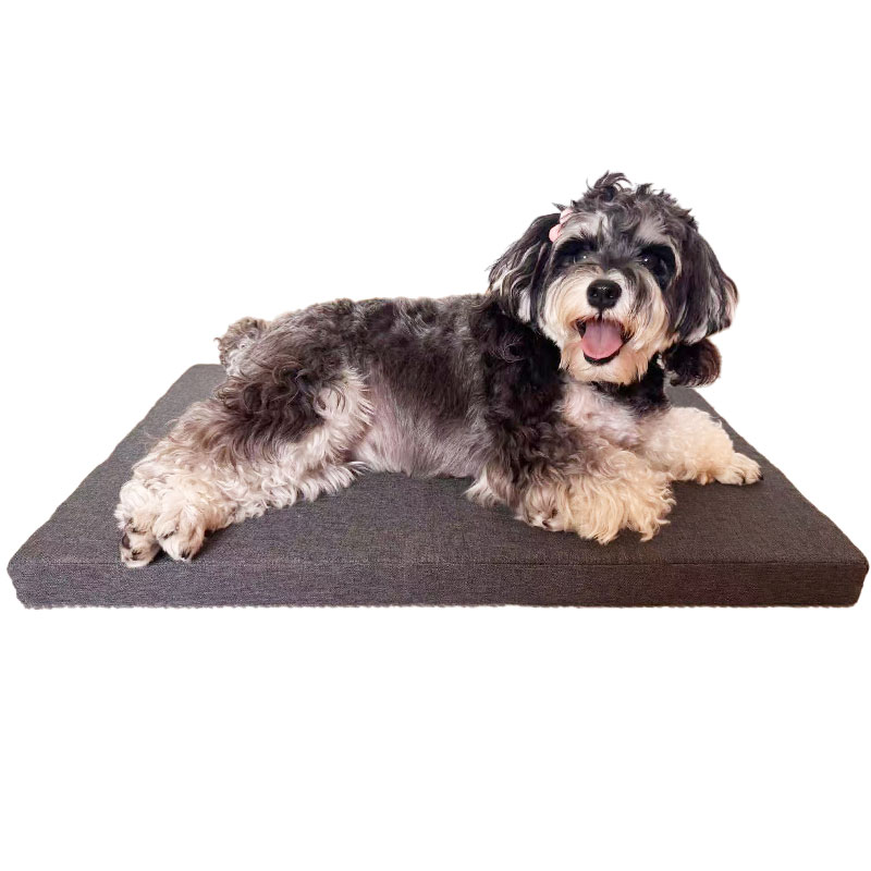 洗える 通気性抜群】ペットクッション 中型犬 小型犬 猫 用 ベッド