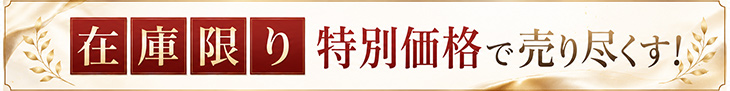 在庫限り特別価格