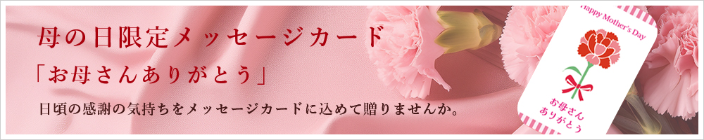 母の日メッセージカード