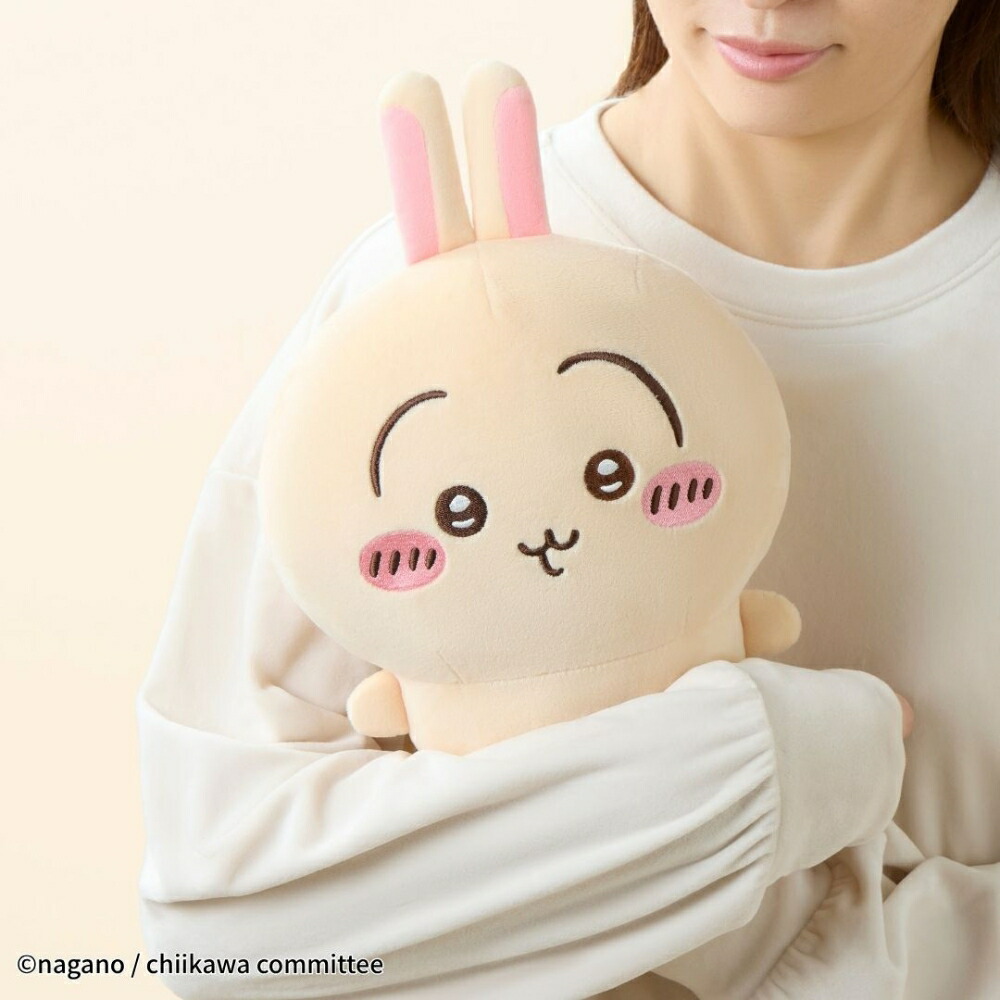 CCP きゃらニクス ちいかわ あったかぬいぐるみ KS-AN66 ハチワレ