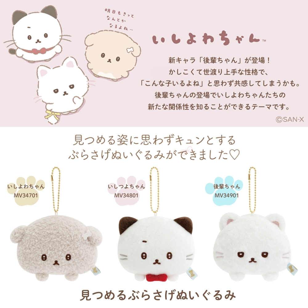San-X（サンエックス） いしよわちゃん 後輩ちゃん登場 見つめる