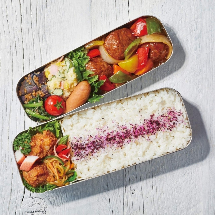 THERMOS サーモス 弁当箱 専用保冷ケース付 フレッシュランチ THERMOS サーモス 弁当箱 専用保冷ケース付 フレッシュランチ