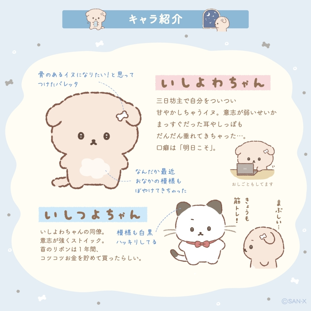 San-X（サンエックス） いしよわちゃん おでかけマルチケース CA62301