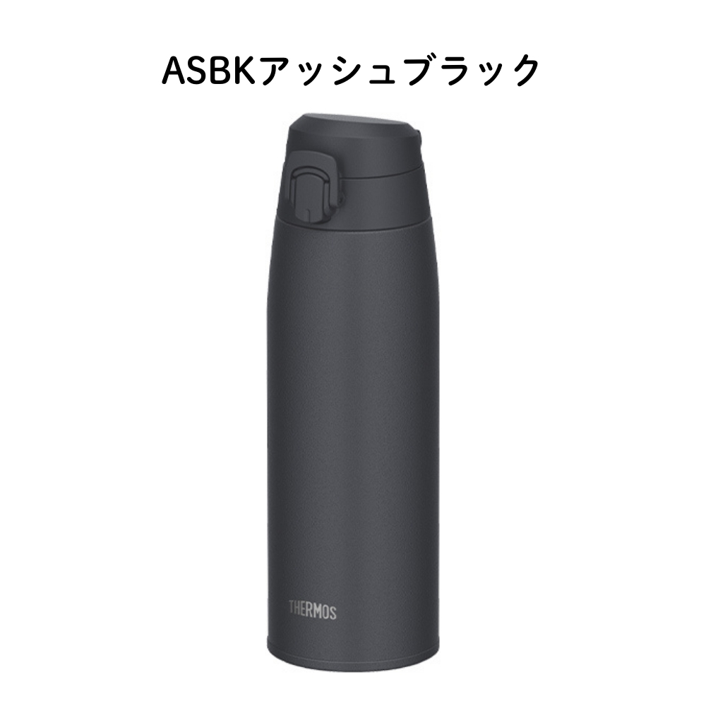 THERMOS（サーモス） 水筒 800ml 真空断熱ケータイマグ JPC-800 保冷