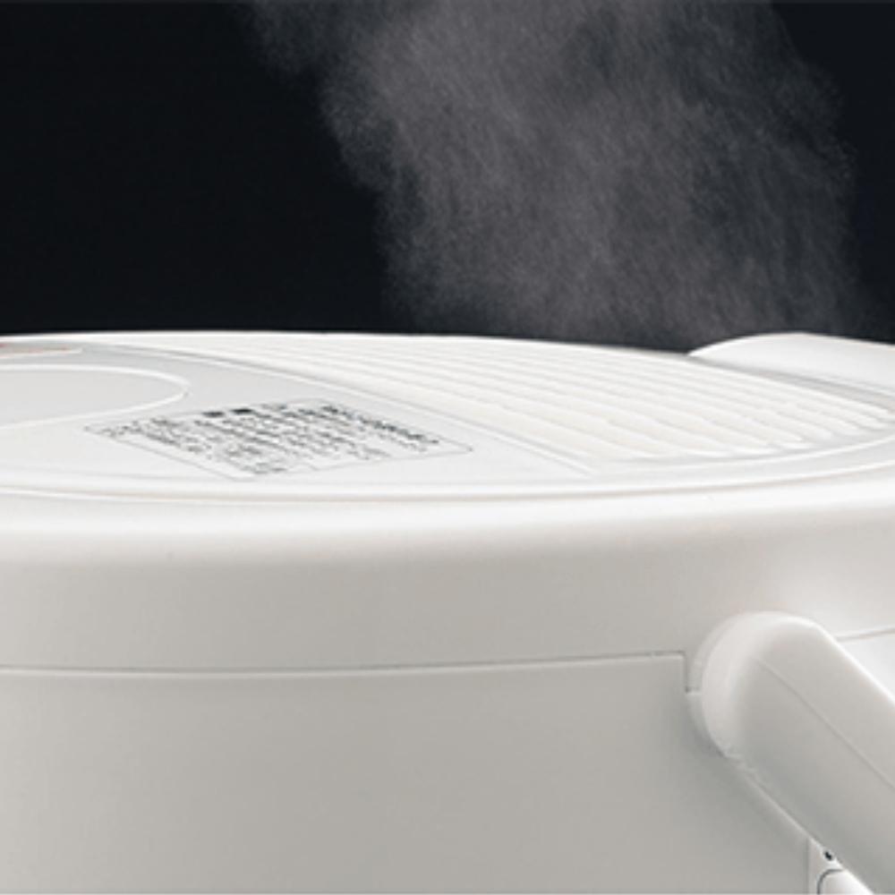 象印（ZOJIRUSHI） 加湿器 スチーム 卓上 EE-RR50 日本製 3L タイマー