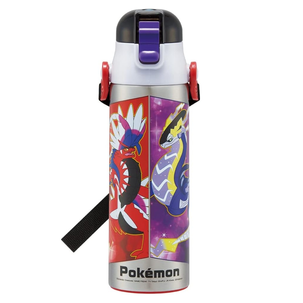 スケーター 水筒 キッズ 直飲み 580ml SDC6N 子供 おしゃれ ステンレス