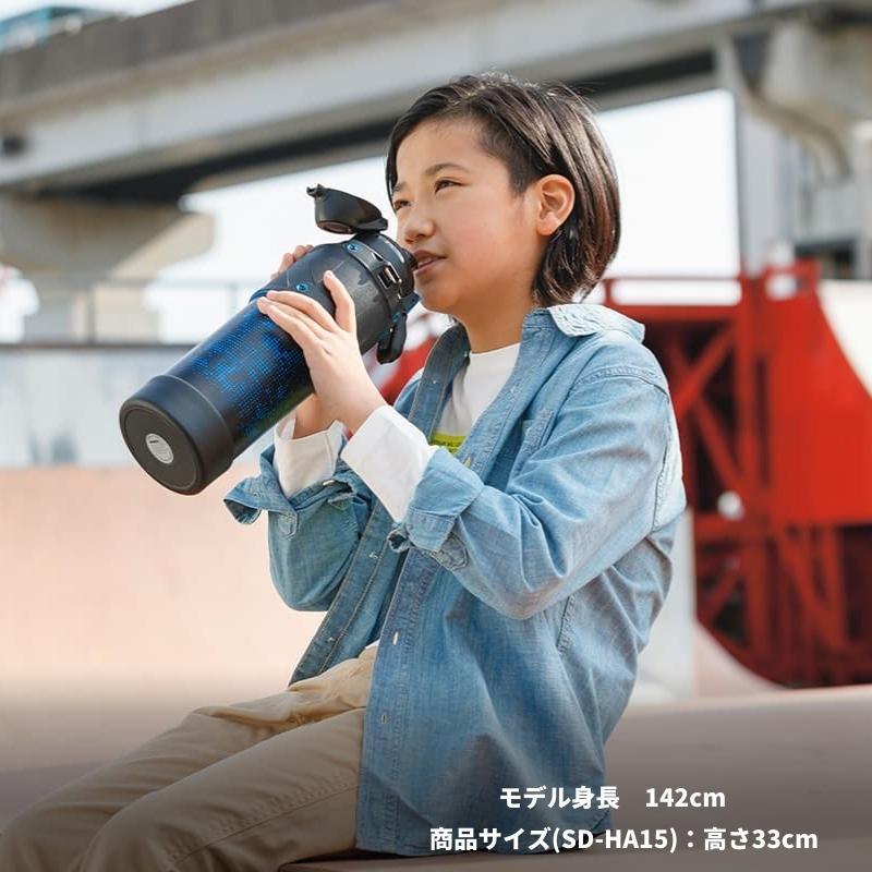 sdha10_7.jpg