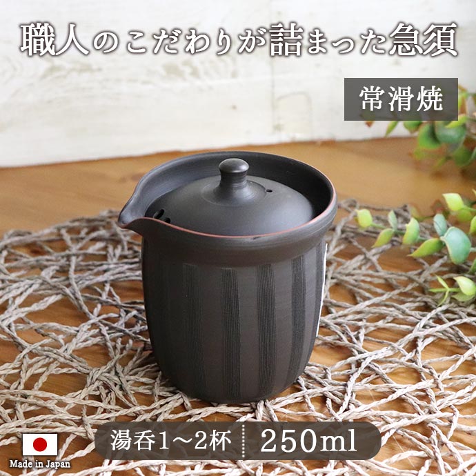 急須 日本製 陶器 おしゃれ 常滑焼 石龍作茶逢 急須 新茶 お茶 250ml