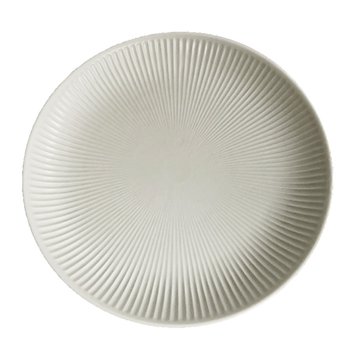 Dusty ダスティ プレート L 径24cm 日本製 美濃焼 磁器 電子レンジ対応