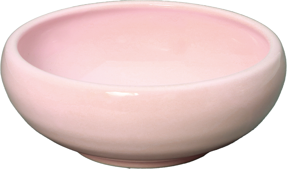 ボウル 子供食器 陶器 おしゃれ パステルカラー すくい易い ブルー