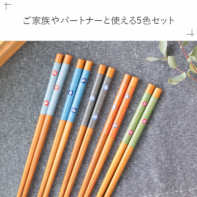 箸 食洗機対応 羽うさぎ 塗箸 5色セット 全長22.5cm 5膳 日本製 天然竹