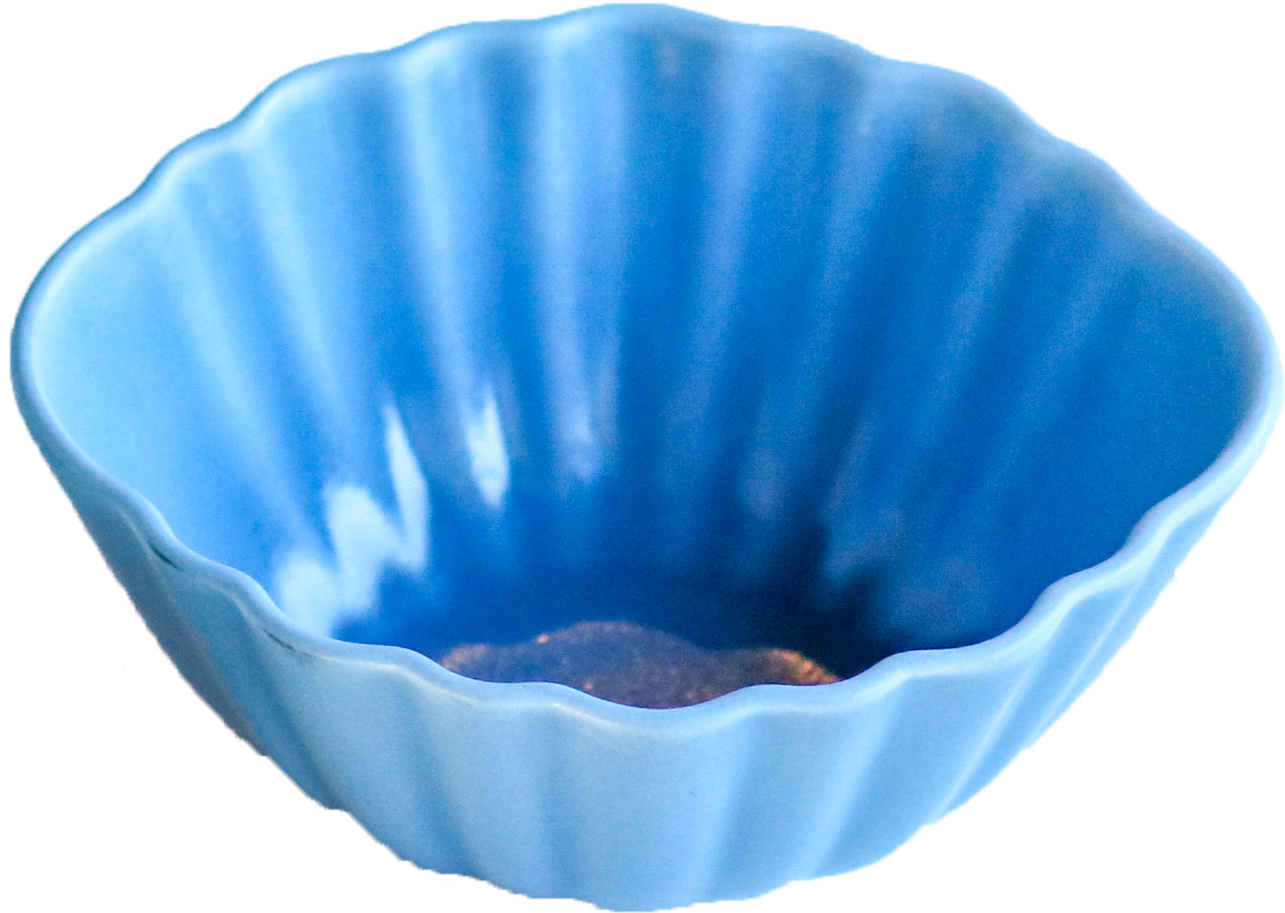 みのる陶器 小皿 プレート おしゃれ 陶磁器 CHOTTO 日本製 豆皿 豆鉢