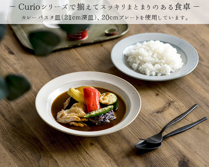 大皿 パスタ皿 おしゃれ 北欧 陶器 curio カレーパスタ 21cm 日本製 美濃焼 クープ カレーパスタ クリオ 1枚 グレー ベージュ  電子レンジOK 食洗機OK : 6122179 : IRODORI Yahoo!店 - 通販 - Yahoo!ショッピング