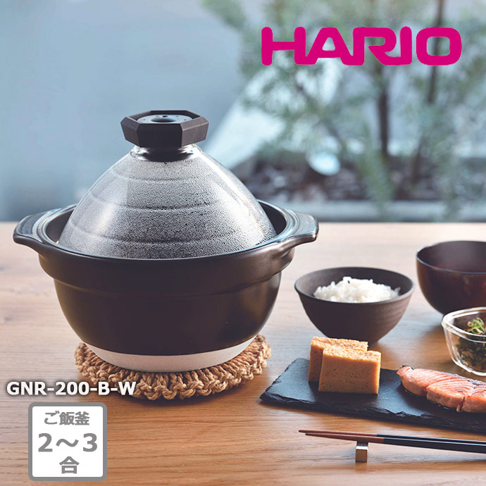 HARIO（ハリオ） 耐熱 土鍋 ご飯鍋 ガラス蓋 3合 径20cm 日本製 万古焼