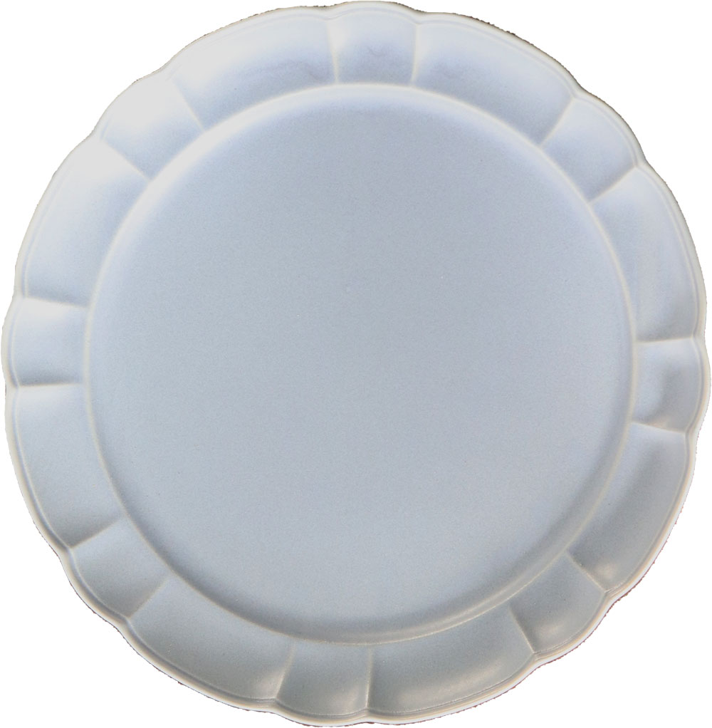 食器 皿 プレート パスタ皿 おしゃれ 陶器 チュチュ 23cm 丸皿 日本製 