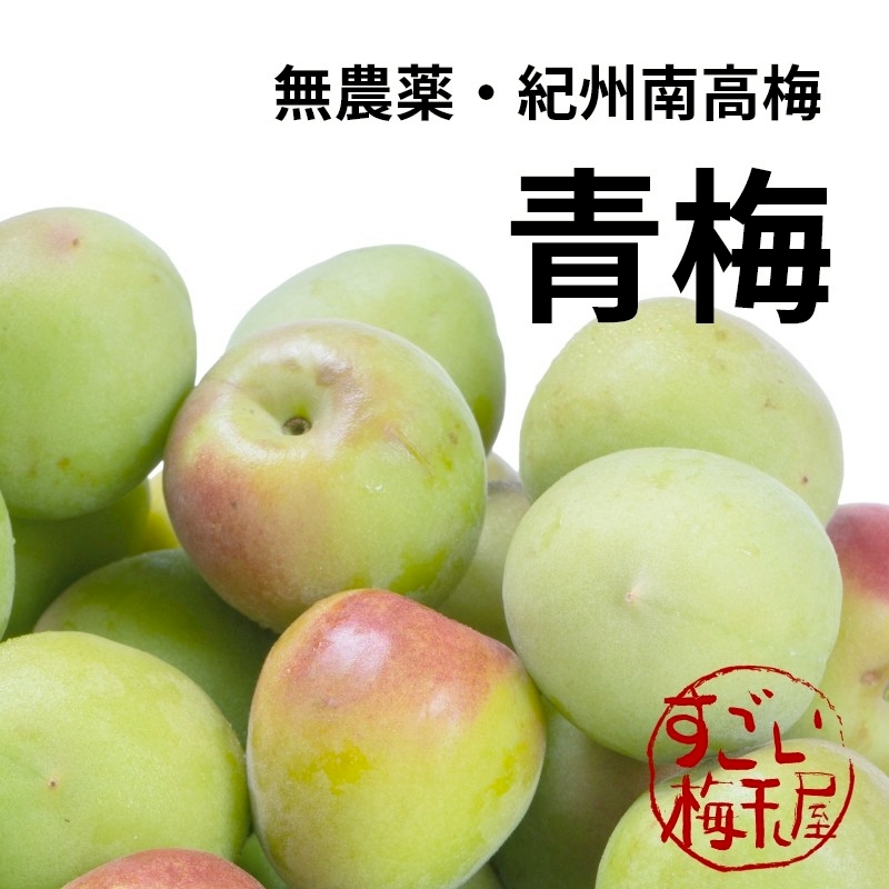 青梅 南高梅 1kg 無農薬 熊野 生梅 青うめ 紀州産 無化学肥料