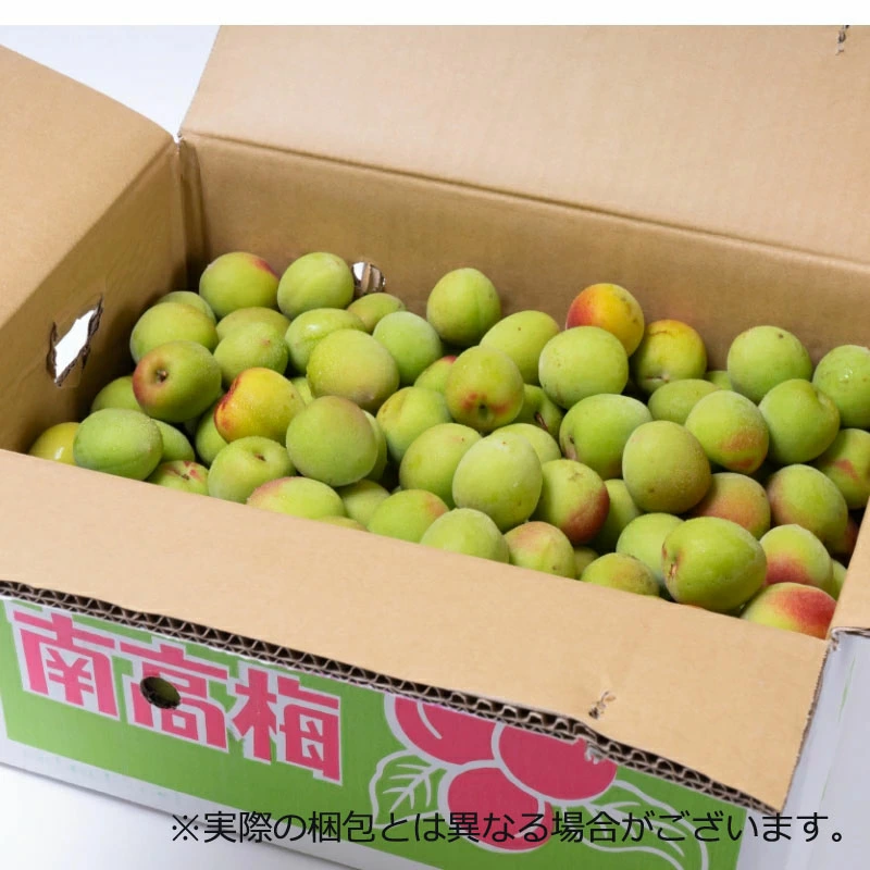 青梅 南高梅 1kg 無農薬 熊野 生梅 青うめ 紀州産 無化学肥料