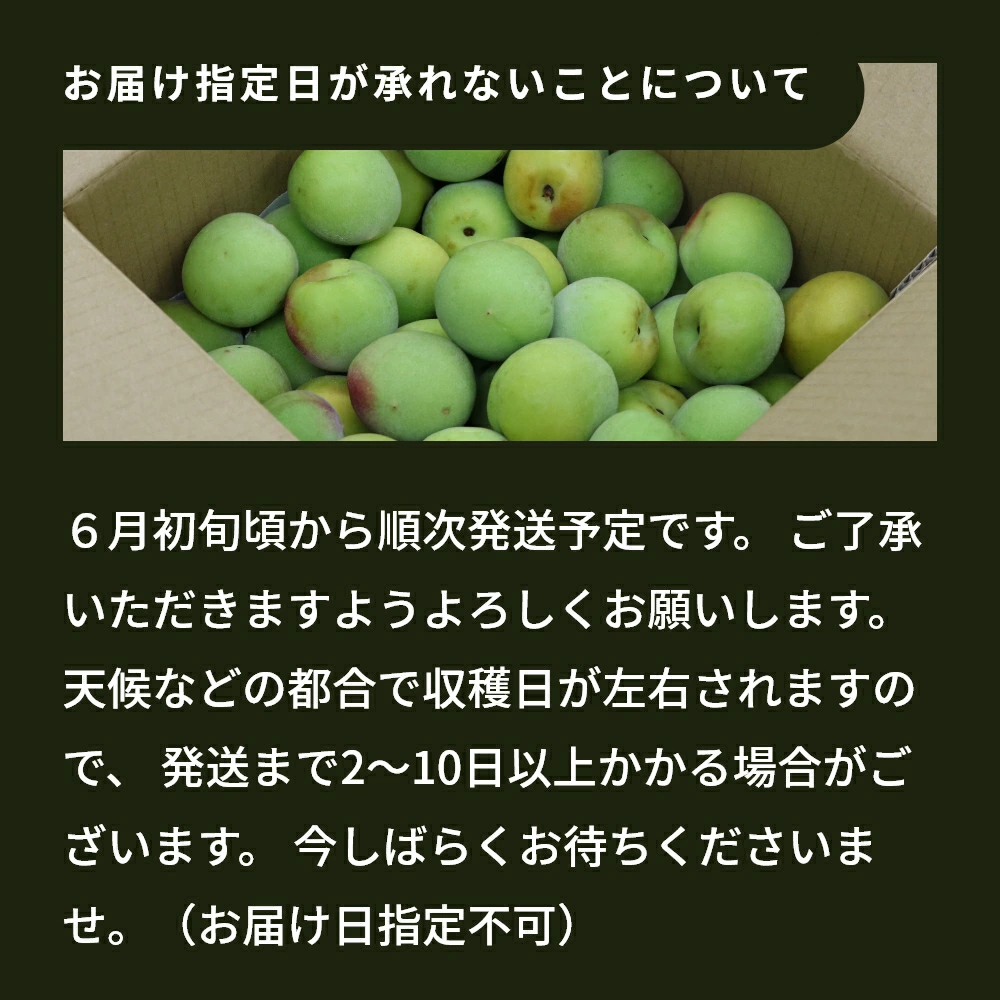 ぴよぴよ無農薬紀州南高梅10キロ 青梅 南高梅 無農薬 10Kgのお取り寄せ販売（通販）送料無料でお届け