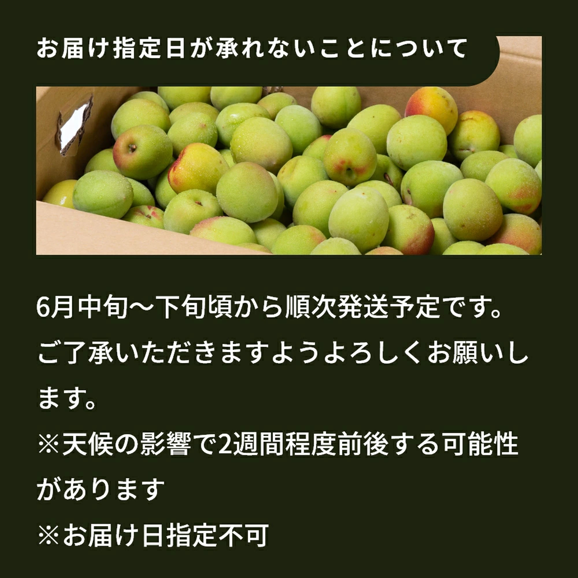 樹熟梅 8kg栽培期間中農薬不使用 南高梅 熊野 生梅 手摘み 完熟梅
