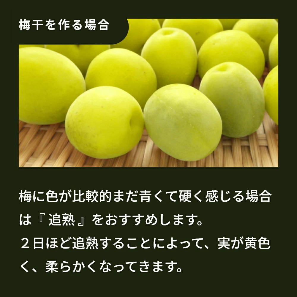 uzuran様 樹成り中熟~完熟 10kg 5月下旬頃から順次発送 青梅は